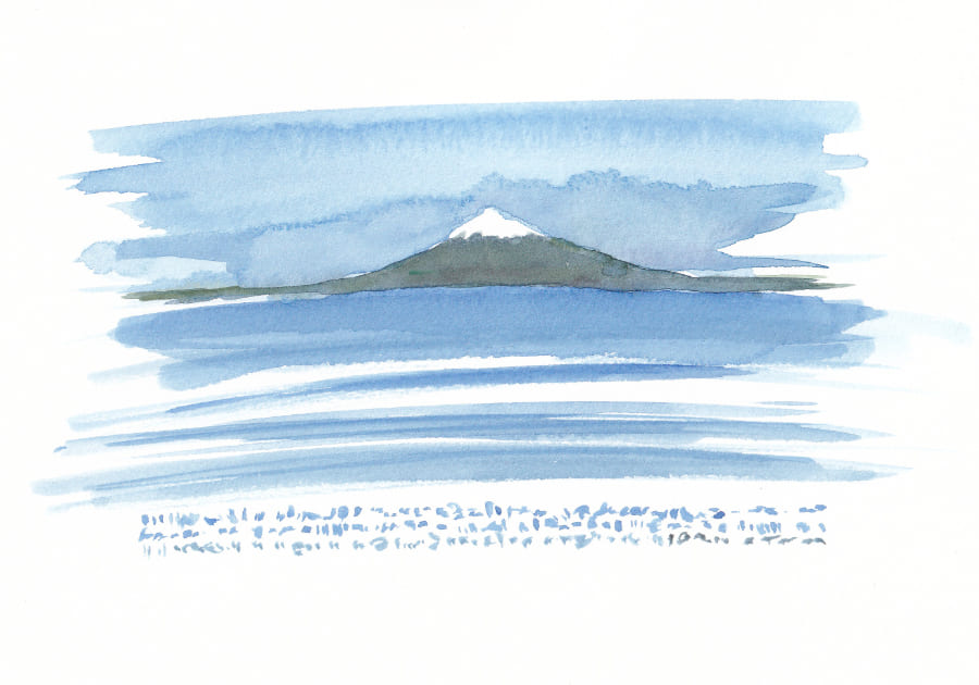 Fuji Artwork