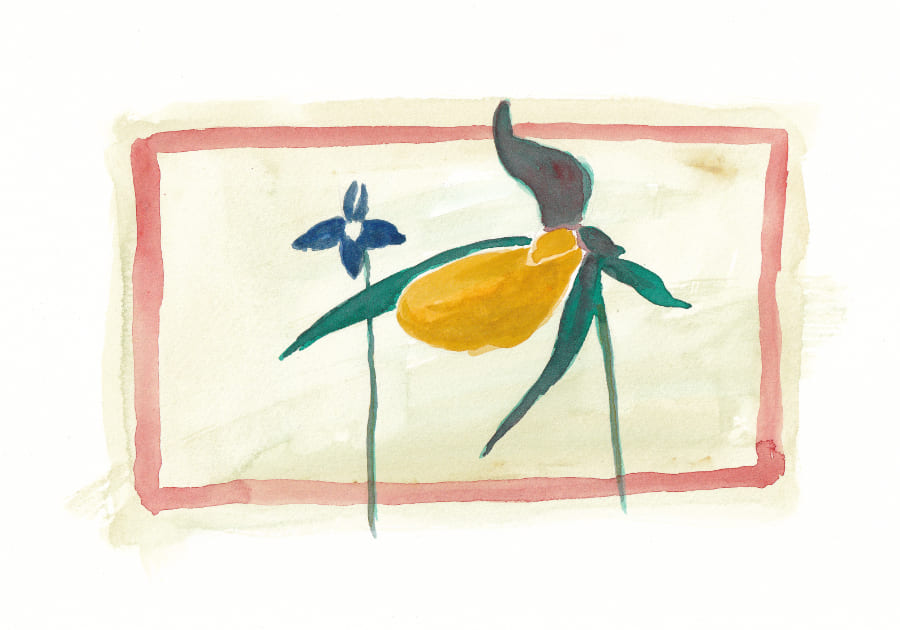 Männertreu und Frauenschuh Männertreu und Frauenschuh Aquarell zu Text von Ruth Loosli